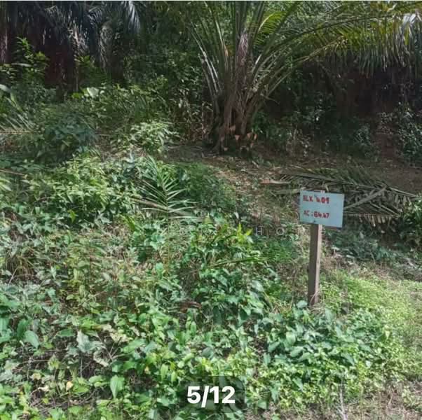 Tanah Pertanian untuk Dijual di Sungai Siput (Perak) - Carlson Khong - Exterior - PropertyGuru.com.my