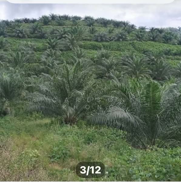 Tanah Pertanian untuk Dijual di Sungai Siput (Perak) - Carlson Khong - Exterior - PropertyGuru.com.my