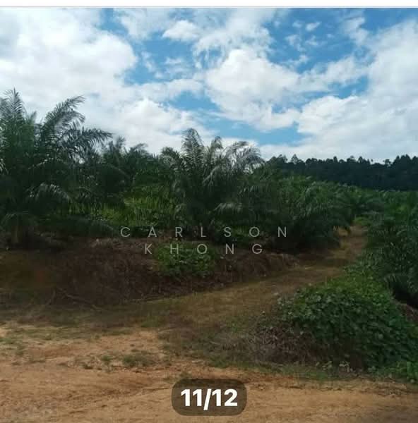 Tanah Pertanian untuk Dijual di Sungai Siput (Perak) - Carlson Khong - Exterior - PropertyGuru.com.my