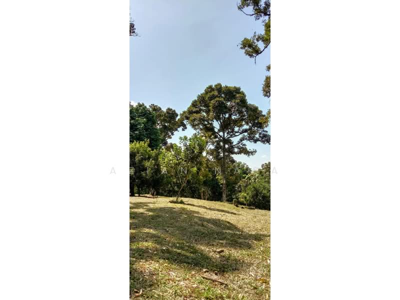 Agricultural Land for Sale in Kampung Setia (Kuang) - Azian Nasa - PropertyGuru.com.my
