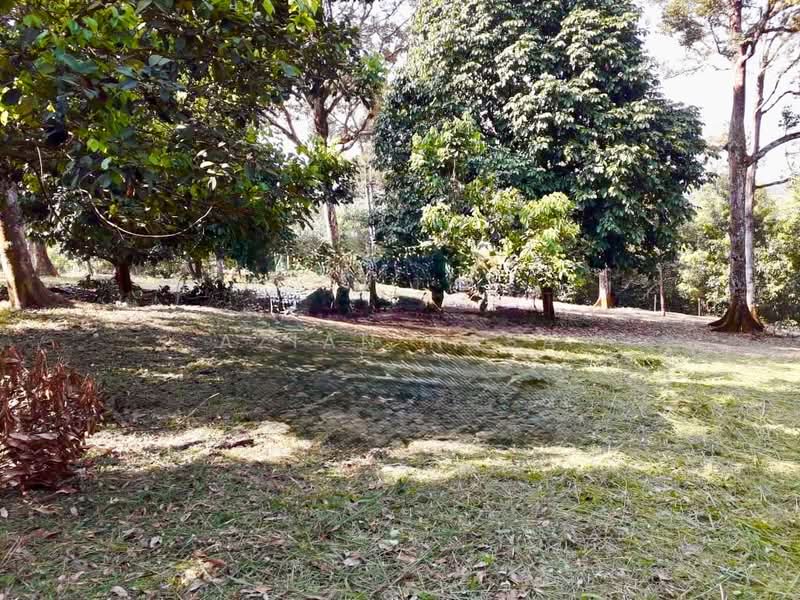 Agricultural Land for Sale in Kampung Setia (Kuang) - Azian Nasa - PropertyGuru.com.my