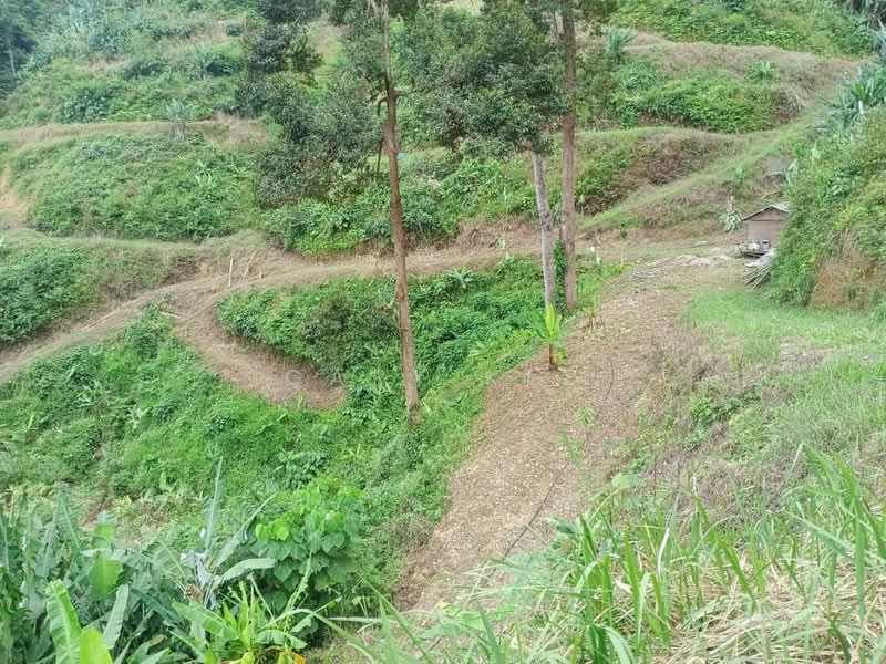 Agricultural Land for Sale in Raub (Pahang) - Gary Kee - PropertyGuru.com.my