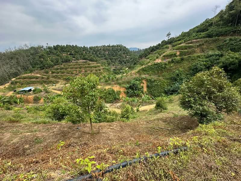 Agricultural Land for Sale in Raub (Pahang) - Gary Kee - PropertyGuru.com.my