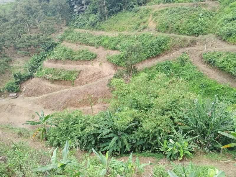 Agricultural Land for Sale in Raub (Pahang) - Gary Kee - PropertyGuru.com.my