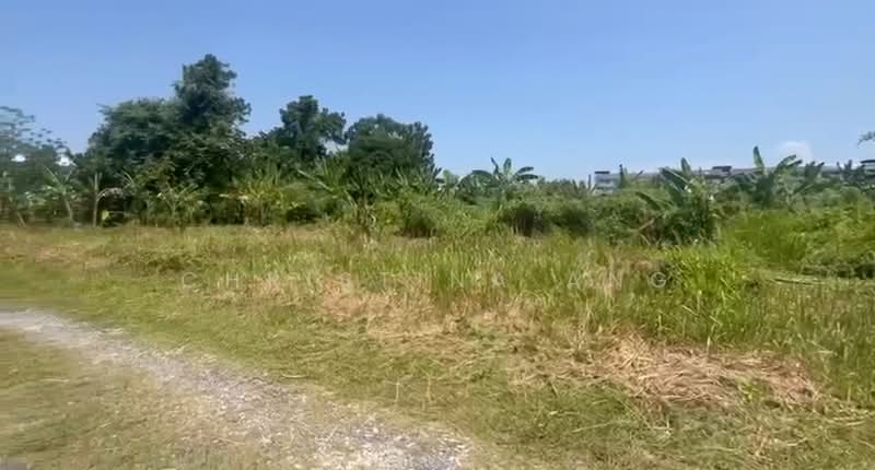 Agricultural Land for Sale in Kempas (Johor Bahru) - Christina Ang - Exterior - PropertyGuru.com.my