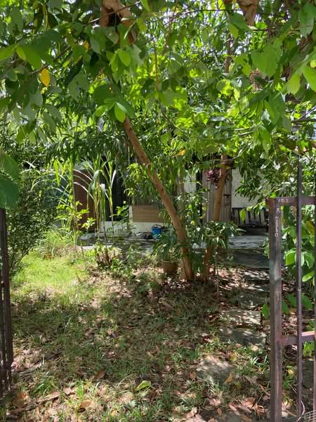 Rumah Banglo untuk Disewa di Teluk Bahang (Penang) - Pen Teo - PropertyGuru.com.my