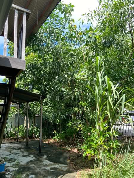 Rumah Banglo untuk Disewa di Teluk Bahang (Penang) - Pen Teo - PropertyGuru.com.my