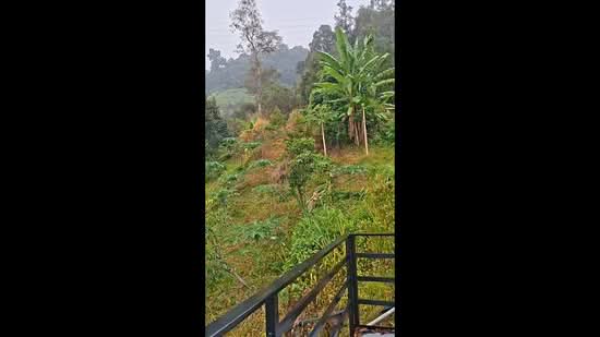 Tanah Pertanian untuk Dijual di Kampung Bukit Tinggi (Bentong) - Shirley Sai - PropertyGuru.com.my