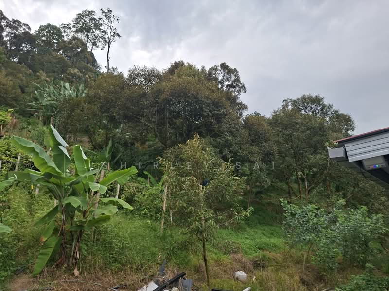 Tanah Pertanian untuk Dijual di Kampung Bukit Tinggi (Bentong) - Shirley Sai - PropertyGuru.com.my
