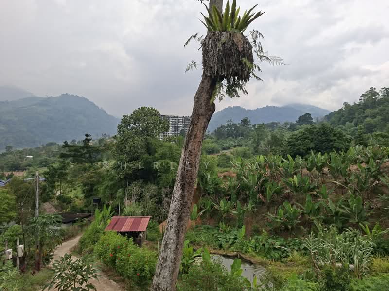Tanah Pertanian untuk Dijual di Kampung Bukit Tinggi (Bentong) - Shirley Sai - PropertyGuru.com.my