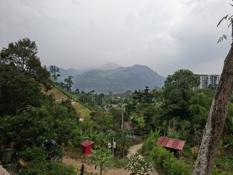 Tanah Pertanian untuk Dijual di Kampung Bukit Tinggi (Bentong) - Shirley Sai - PropertyGuru.com.my