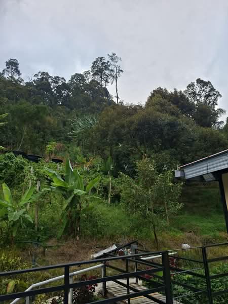 Tanah Pertanian untuk Dijual di Kampung Bukit Tinggi (Bentong) - Shirley Sai - PropertyGuru.com.my