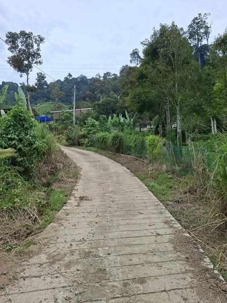 Tanah Pertanian untuk Dijual di Kampung Bukit Tinggi (Bentong) - Shirley Sai - PropertyGuru.com.my