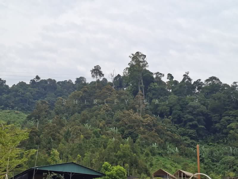 Tanah Pertanian untuk Dijual di Kampung Bukit Tinggi (Bentong) - Shirley Sai - PropertyGuru.com.my