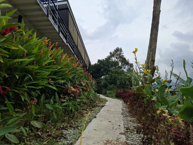 Tanah Pertanian untuk Dijual di Kampung Bukit Tinggi (Bentong) - Shirley Sai - PropertyGuru.com.my
