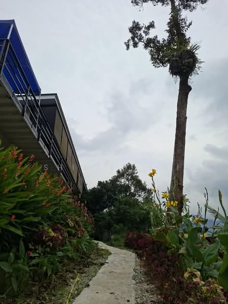 Tanah Pertanian untuk Dijual di Kampung Bukit Tinggi (Bentong) - Shirley Sai - PropertyGuru.com.my