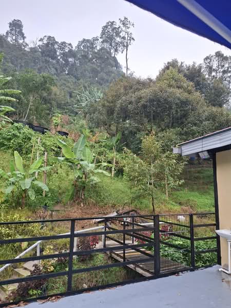 Tanah Pertanian untuk Dijual di Kampung Bukit Tinggi (Bentong) - Shirley Sai - PropertyGuru.com.my