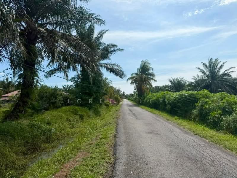 Tanah Pertanian untuk Dijual di Kampung Parit Sikom (Pontian) - Joreen Lee - PropertyGuru.com.my