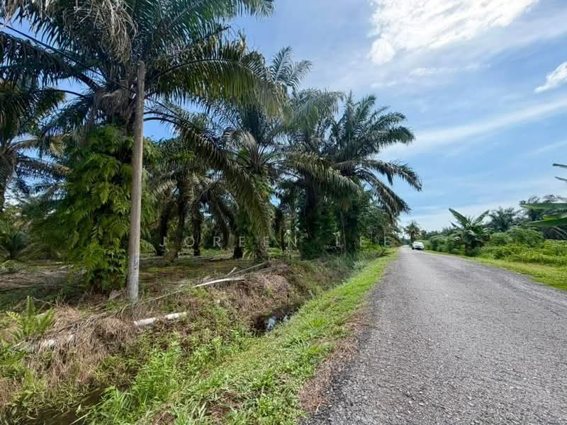 Tanah Pertanian untuk Dijual di Kampung Parit Sikom (Pontian) - Joreen Lee - PropertyGuru.com.my