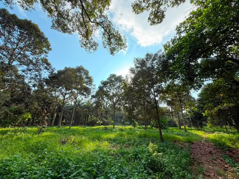 Tanah Pertanian untuk Dijual di Kampung Parit Sikom (Pontian) - Joreen Lee - PropertyGuru.com.my