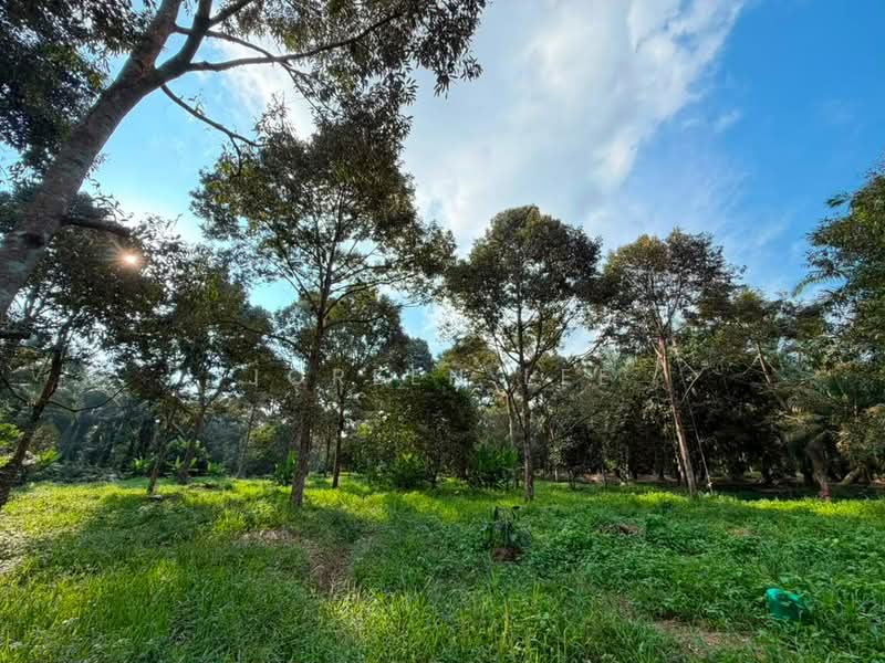 Tanah Pertanian untuk Dijual di Kampung Parit Sikom (Pontian) - Joreen Lee - PropertyGuru.com.my