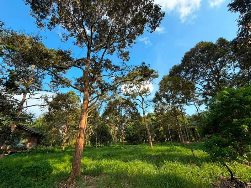 Tanah Pertanian untuk Dijual di Kampung Parit Sikom (Pontian) - Joreen Lee - PropertyGuru.com.my