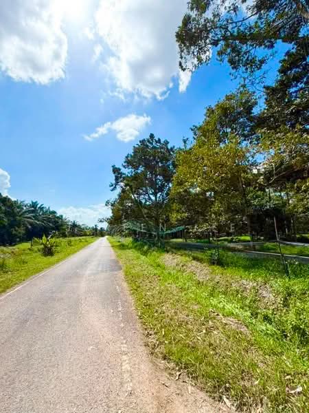Tanah Pertanian untuk Dijual di Kampung Parit Sikom (Pontian) - Joreen Lee - PropertyGuru.com.my