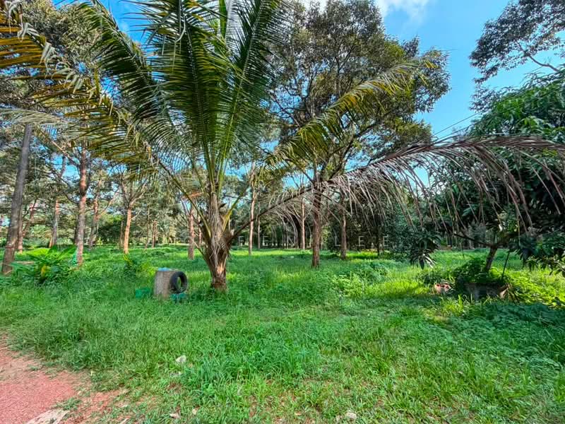 Tanah Pertanian untuk Dijual di Kampung Parit Sikom (Pontian) - Joreen Lee - PropertyGuru.com.my