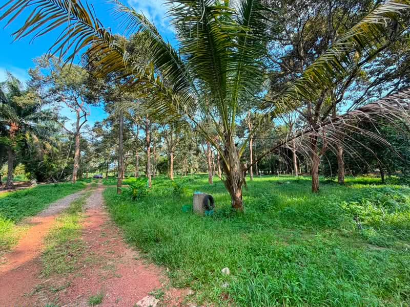 Tanah Pertanian untuk Dijual di Kampung Parit Sikom (Pontian) - Joreen Lee - PropertyGuru.com.my