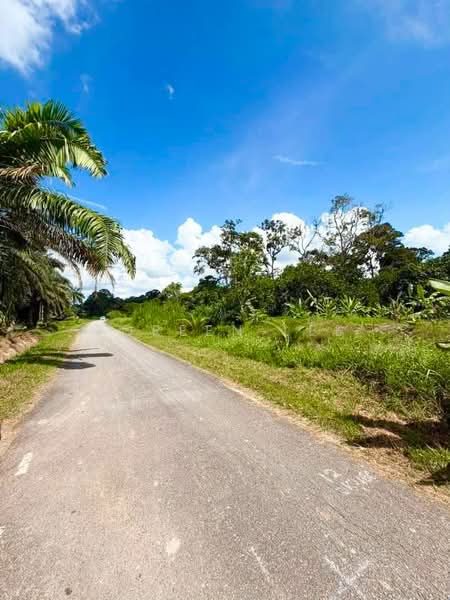 Tanah Pertanian untuk Dijual di Kampung Parit Sikom (Pontian) - Joreen Lee - PropertyGuru.com.my
