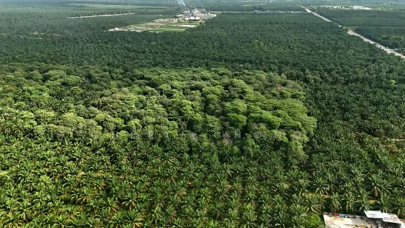 Agricultural Land for Sale in Taiping (Perak) - Cherie Chong - PropertyGuru.com.my