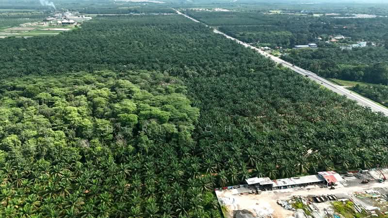 Agricultural Land for Sale in Taiping (Perak) - Cherie Chong - PropertyGuru.com.my