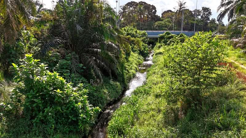 Agricultural Land for Sale in Taiping (Perak) - Cherie Chong - PropertyGuru.com.my
