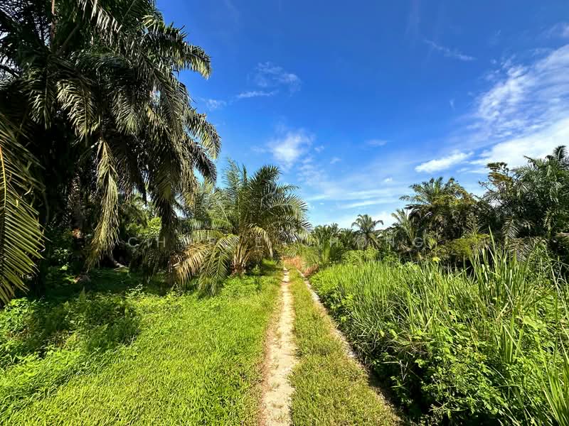 Agricultural Land for Sale in Taiping (Perak) - Cherie Chong - PropertyGuru.com.my