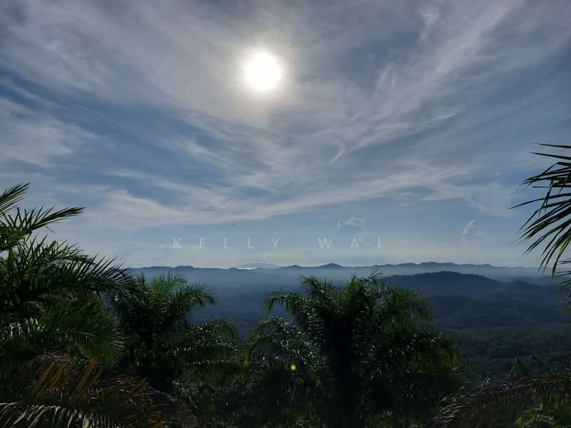 Tanah Pertanian untuk Dijual di Jemaluang (Johor) - Kelly Wai - View - PropertyGuru.com.my