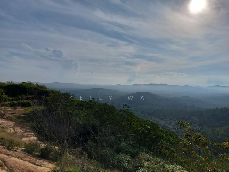 Tanah Pertanian untuk Dijual di Jemaluang (Johor) - Kelly Wai - Exterior - PropertyGuru.com.my
