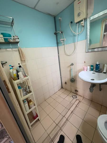 Condominium for Sale at Palm Spring @ Damansara - Kelvin Loo - Bathroom - PropertyGuru.com.my