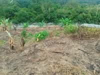 For Rent - Lenggeng Agriculture Land