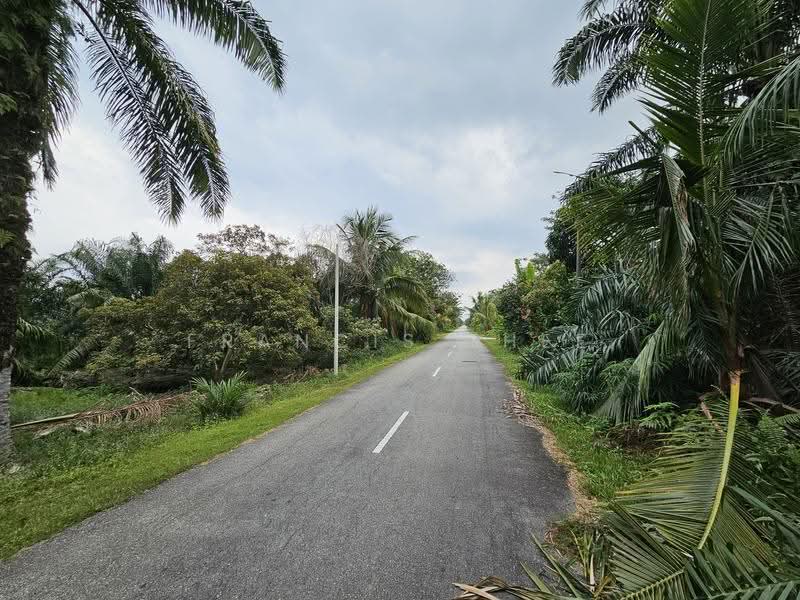 Agricultural Land for Sale in Kampung Sungai Kelambu (Tanjong Duabelas) - Francis Thee - PropertyGuru.com.my