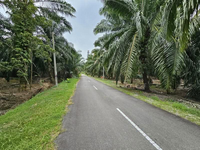 Agricultural Land for Sale in Kampung Sungai Kelambu (Tanjong Duabelas) - Francis Thee - PropertyGuru.com.my