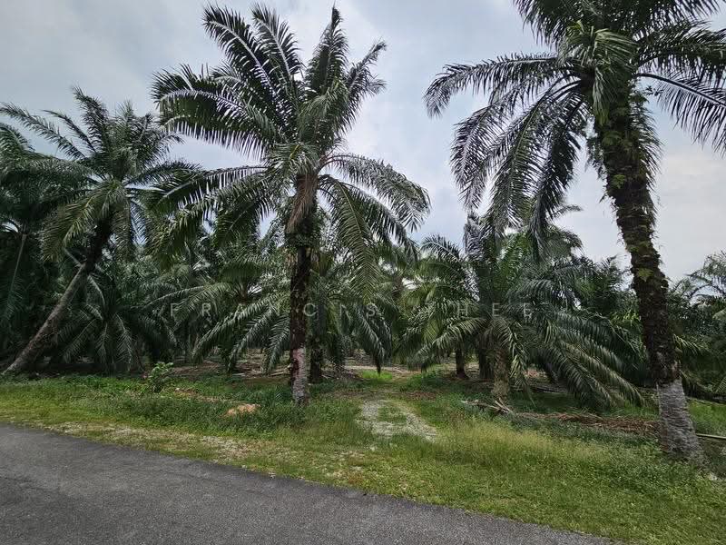 Agricultural Land for Sale in Kampung Sungai Kelambu (Tanjong Duabelas) - Francis Thee - PropertyGuru.com.my