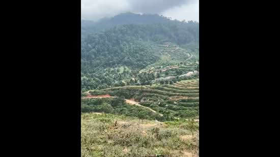 Agricultural Land for Sale in Karak (Pahang) - Kelly Wai - PropertyGuru.com.my