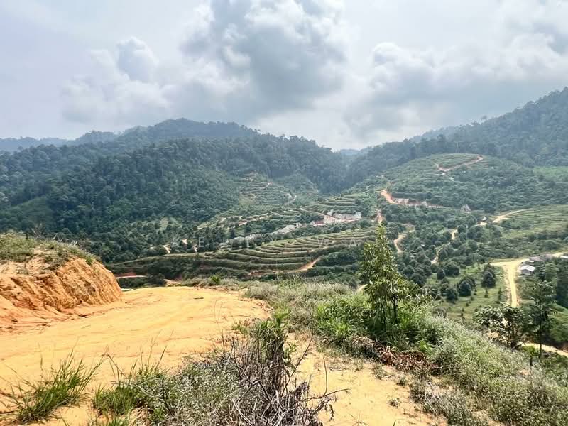 Agricultural Land for Sale in Karak (Pahang) - Kelly Wai - Exterior - PropertyGuru.com.my