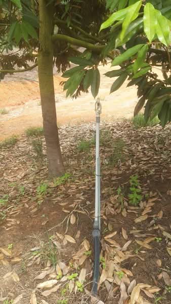 Agricultural Land for Sale in Karak (Pahang) - Kelly Wai - Garden - PropertyGuru.com.my