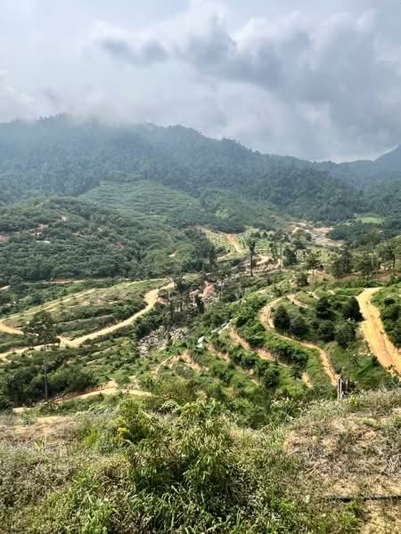 Agricultural Land for Sale in Karak (Pahang) - Kelly Wai - Exterior - PropertyGuru.com.my