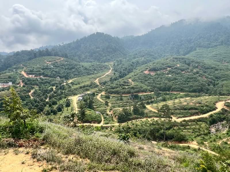 Agricultural Land for Sale in Karak (Pahang) - Kelly Wai - Exterior - PropertyGuru.com.my