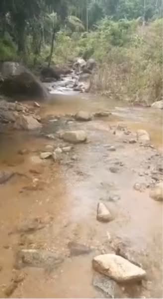 Agricultural Land for Sale in Karak (Pahang) - Kelly Wai - Exterior - PropertyGuru.com.my