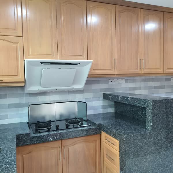 Rumah Teres 2 Tingkat untuk Dijual di Taman Krubong Utama (Krubong) - Shanel Tee - Kitchen - PropertyGuru.com.my