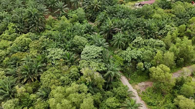Residential Land for Sale in Dengkil (Selangor) - Azizirrahim . - Exterior - PropertyGuru.com.my