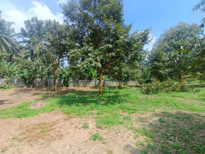 Agricultural Land for Sale in Kulai (Johor) - Christina Ang - Garden - PropertyGuru.com.my